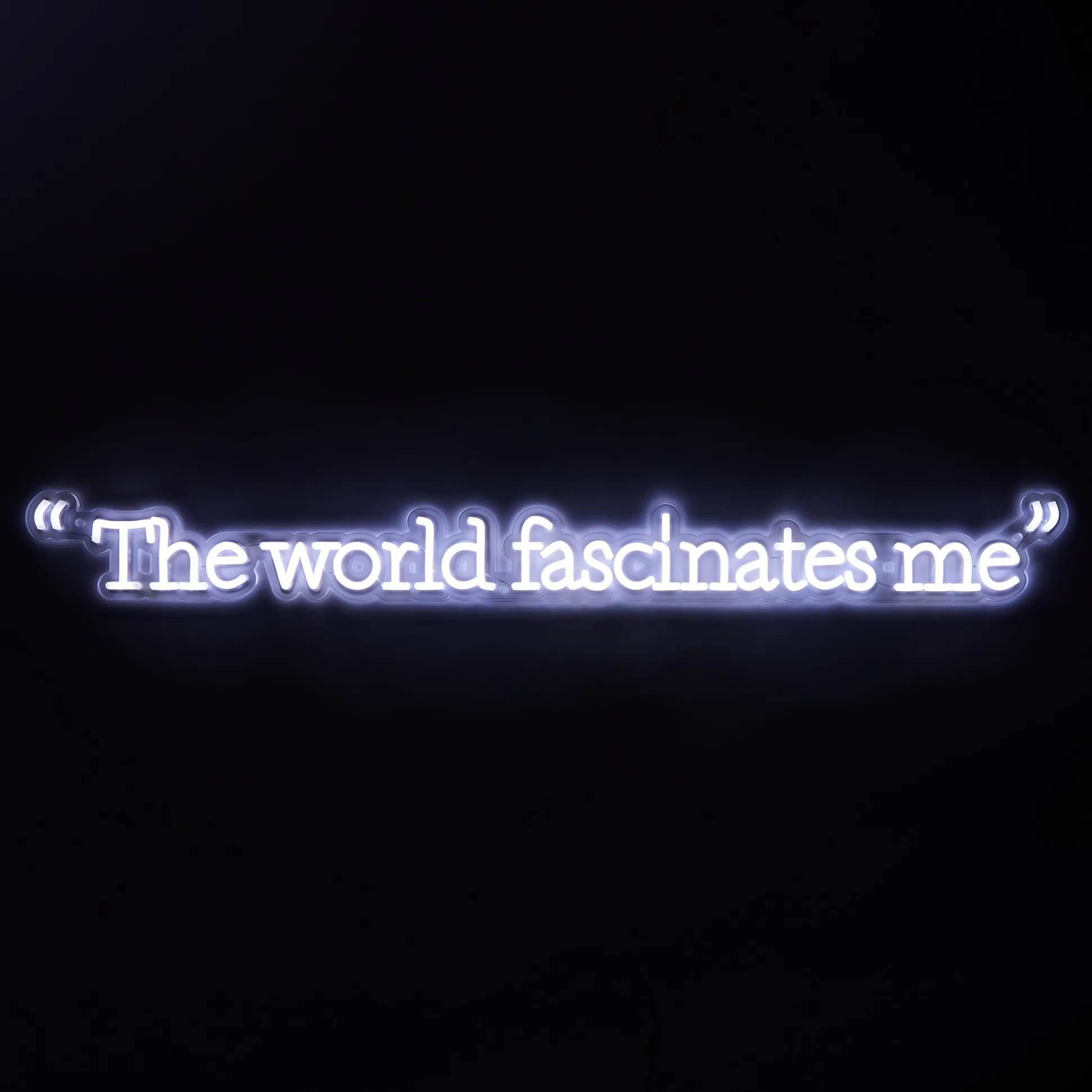Andy Warhol The World Fascinates Me Quote Neon Sign
