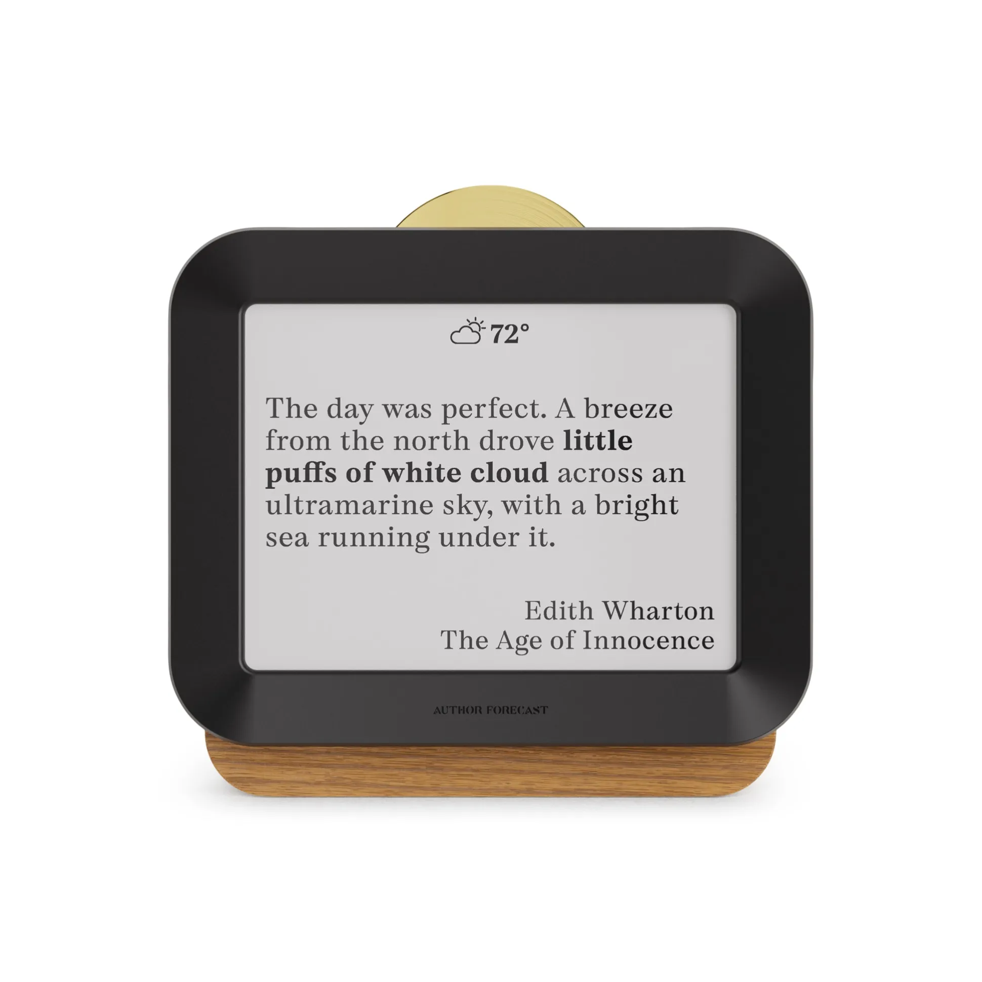 Author Forecast Digital Weathervane - Large
