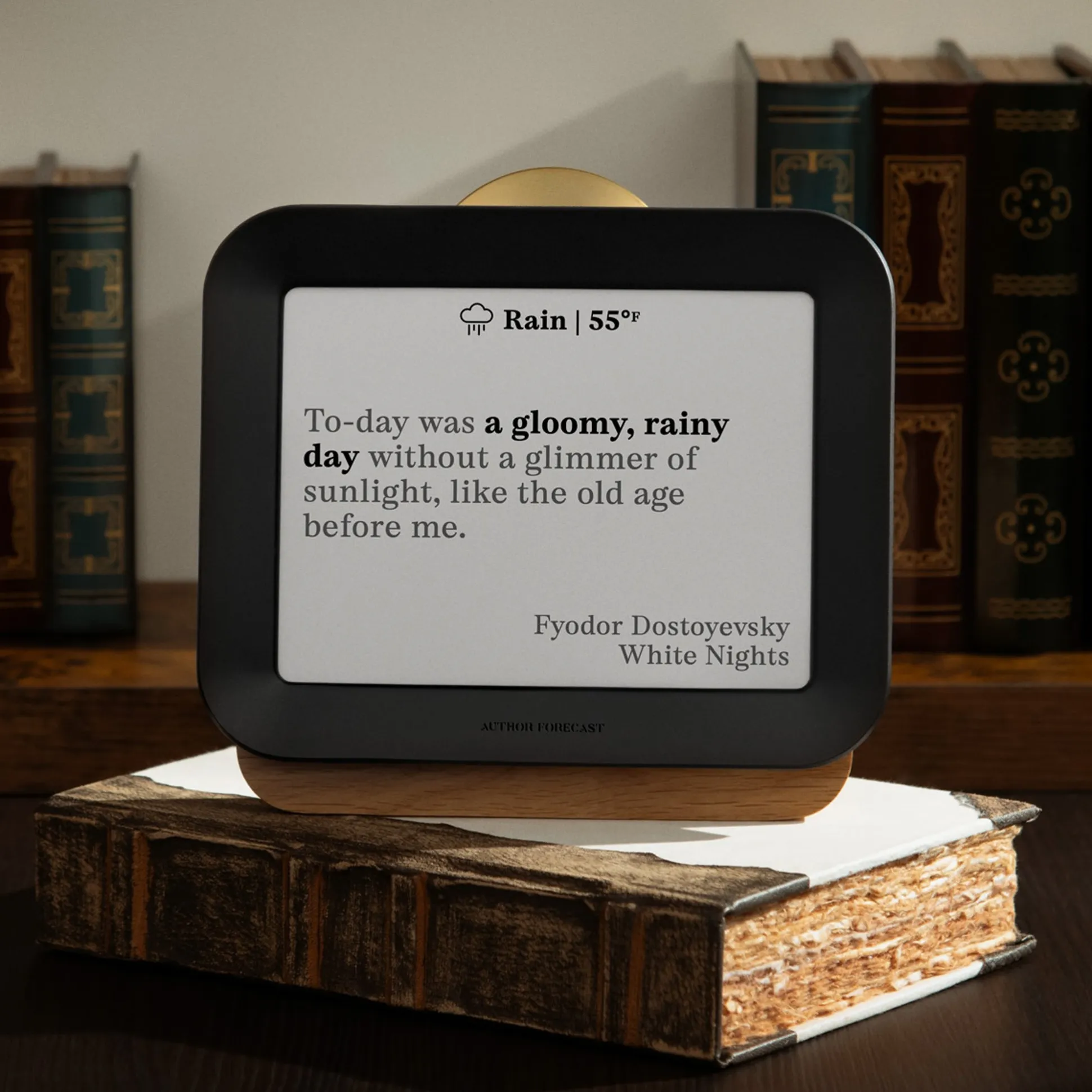 Author Forecast Digital Weathervane - Large