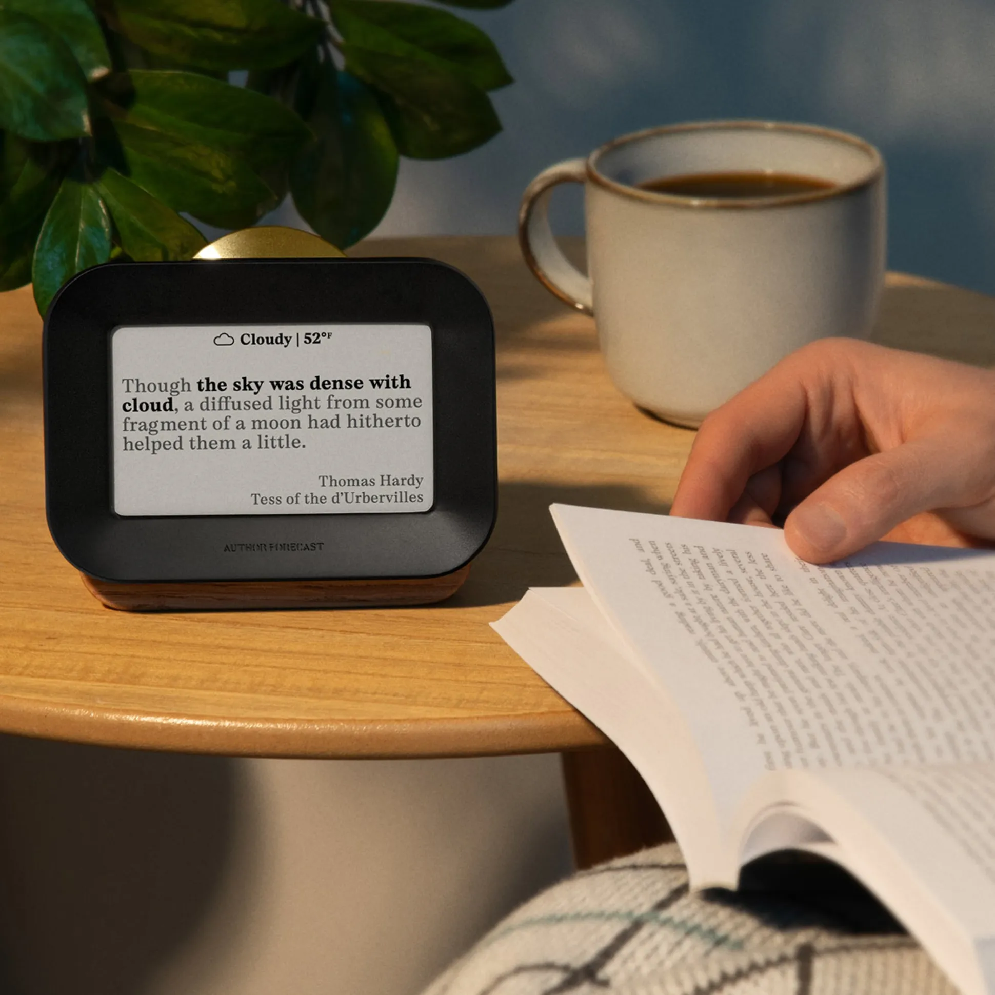 Author Forecast Digital Weathervane - Small