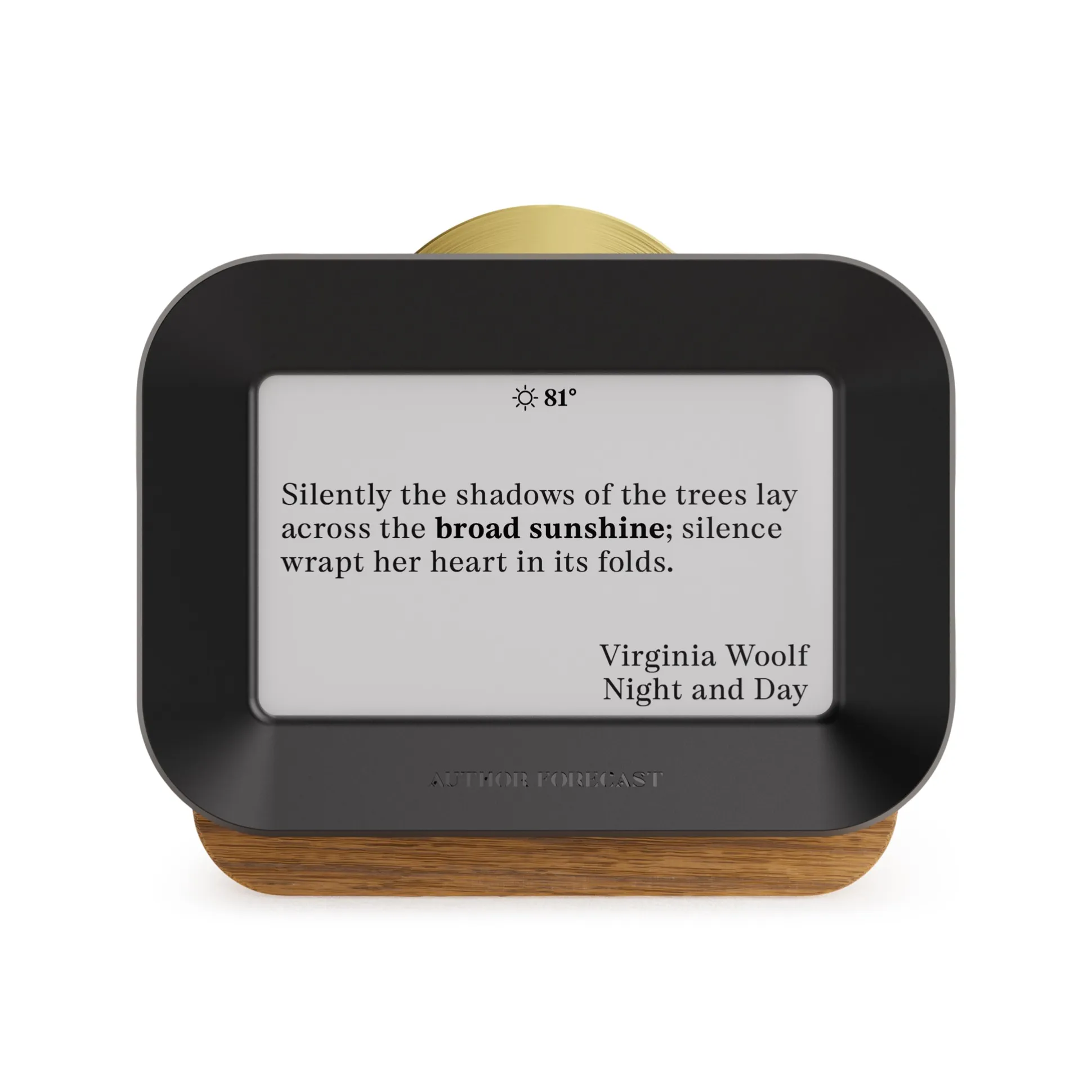 Author Forecast Digital Weathervane - Small