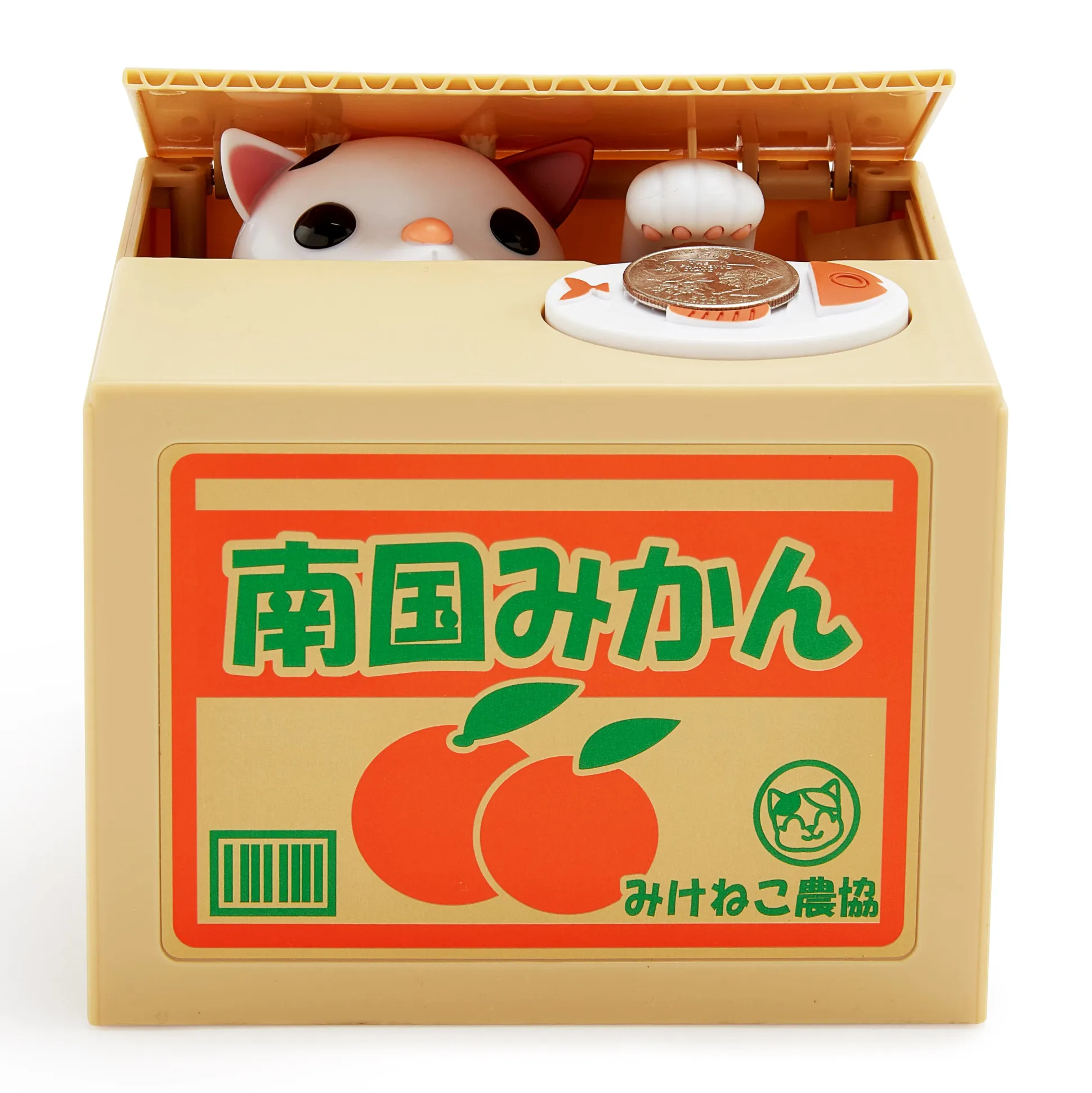 Cat in Coin Bank