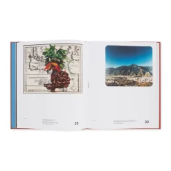 Chosen Memories: Contemporary Latin American Art from the Patricia Phelps de Cisneros Gift and Beyond - Hardcover