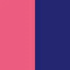 Colorful MoMA Notebook
