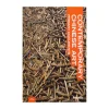 Contemporary Chinese Art: Primary Documents