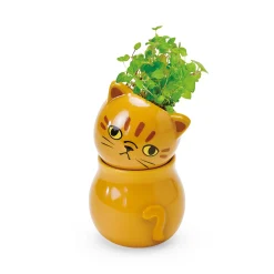 Corocoro Cat Planter - Single