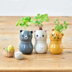 Corocoro Cat Planter - Single