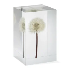 Dandelion Objet d'Art