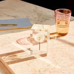 Dandelion Objet d'Art