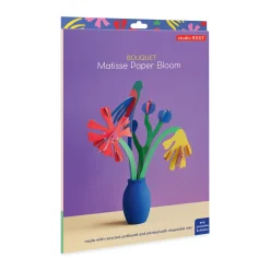 DIY Artist Bouquet Kit - Matisse