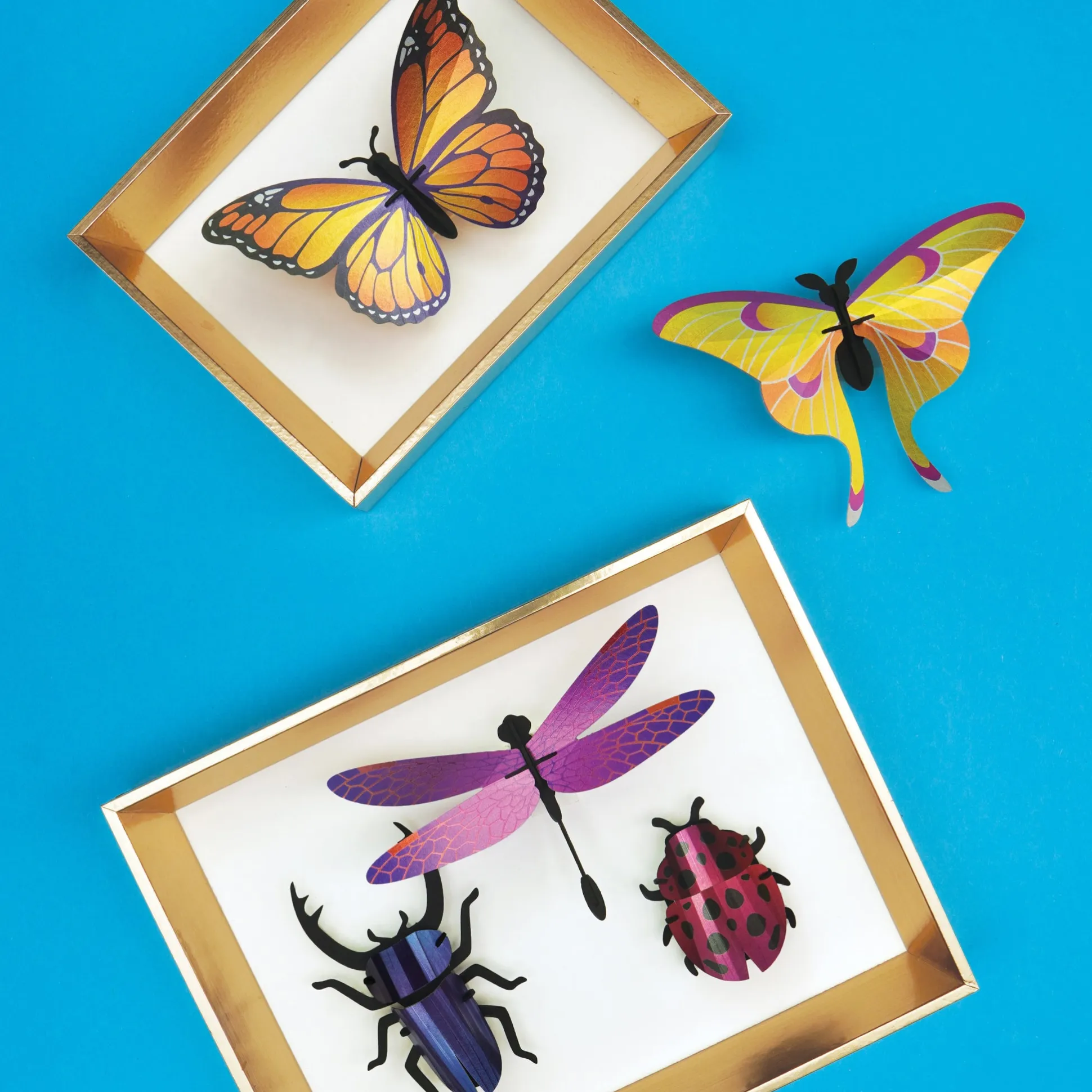 DIY 3D Shiny Insect Kit