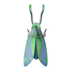 DIY Giant Beetle Kit - Jade Grasshopper
