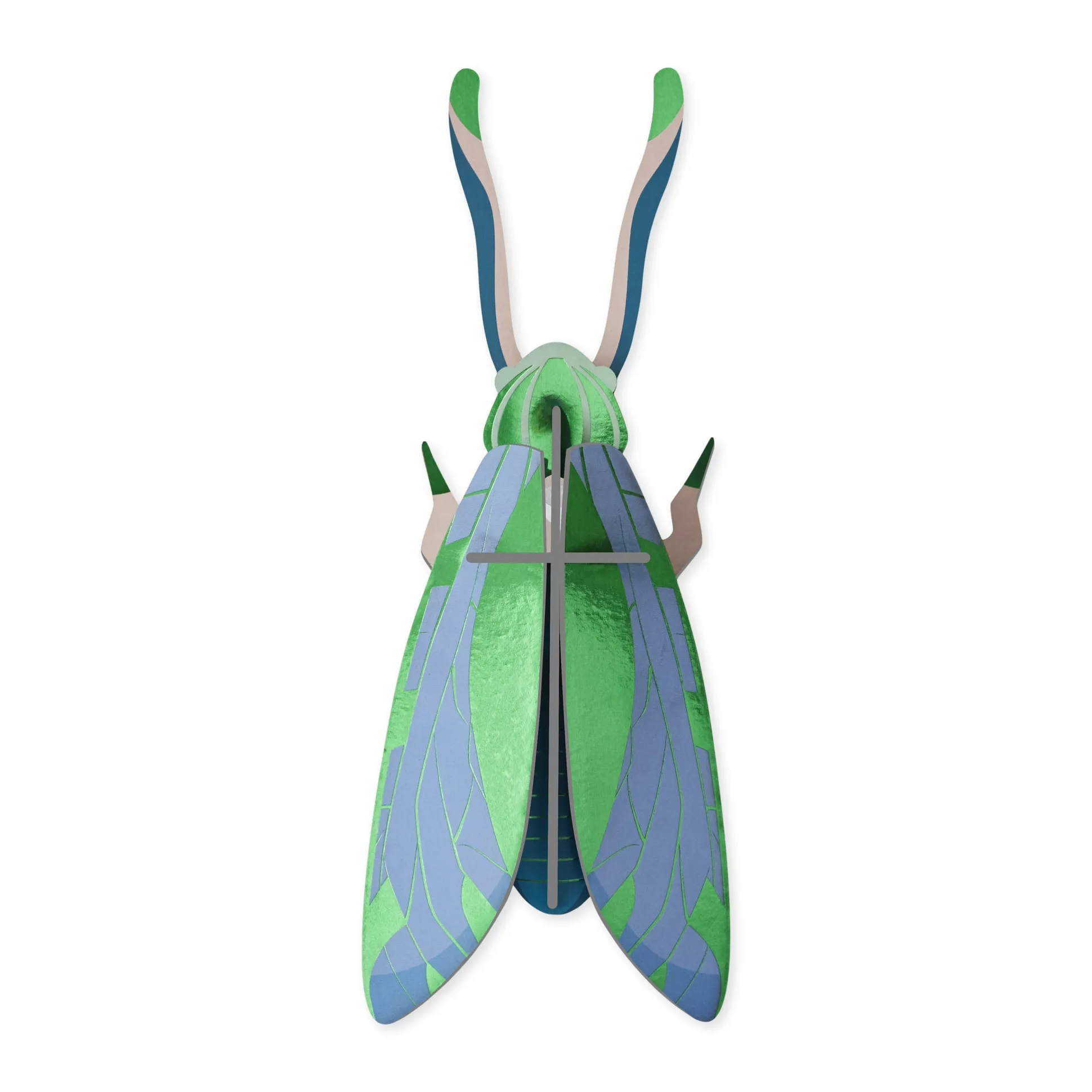 DIY Giant Beetle Kit - Jade Grasshopper