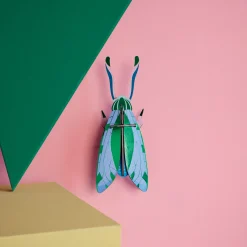 DIY Giant Beetle Kit - Jade Grasshopper