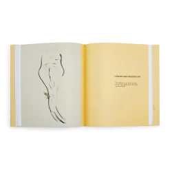 Félix Fénéon: The Anarchist and the Avant-Garde - Hardcover