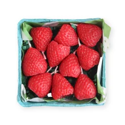 Fruit Beeswax Party Candles