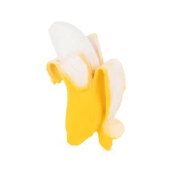 Fruit Teether Toy