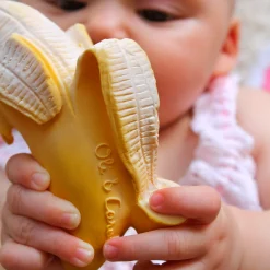 Fruit Teether Toy