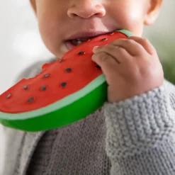 Fruit Teether Toy