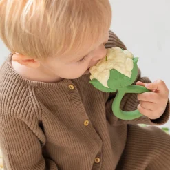Fruit & Veggie Rattle Toy
