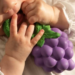 Fruit & Veggie Rattle Toy