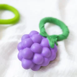 Fruit & Veggie Rattle Toy