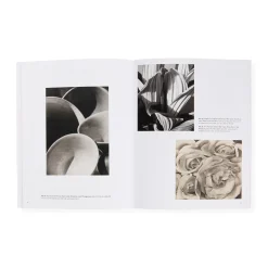Georgia O’Keeffe: Abstraction Blue - MoMA One on One Series - Paperback