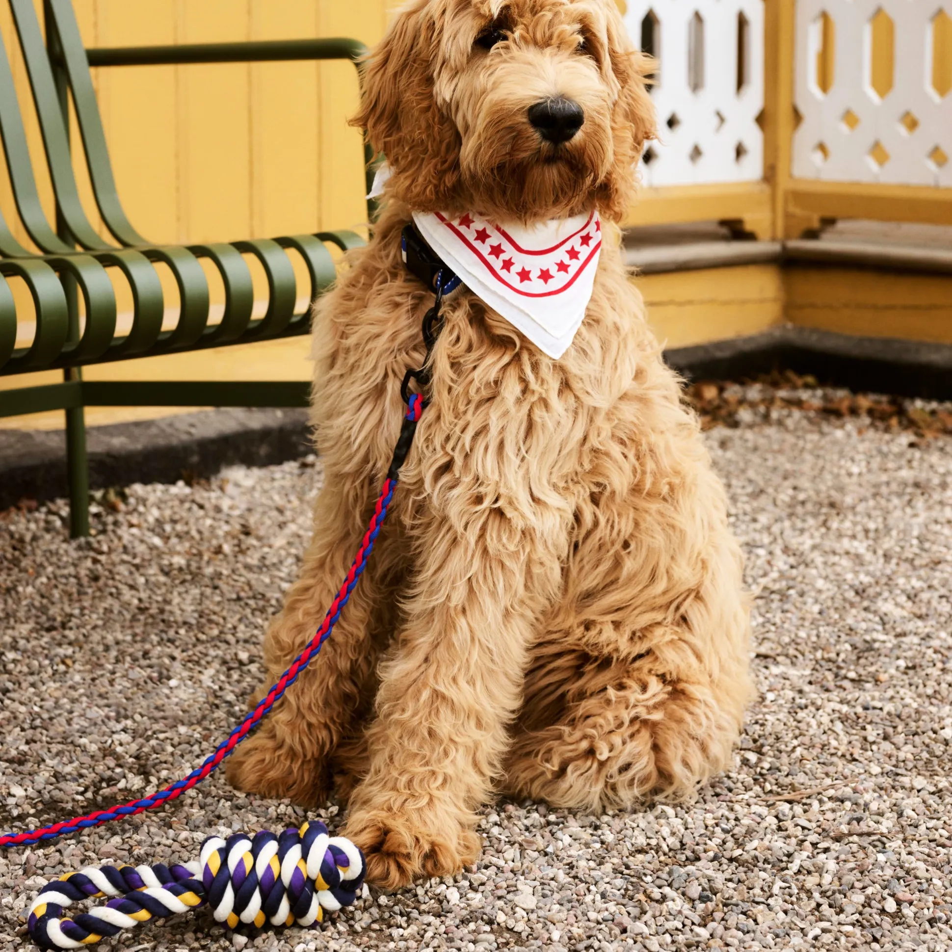 HAY Rope Toy for Dogs in Recycled Polyester