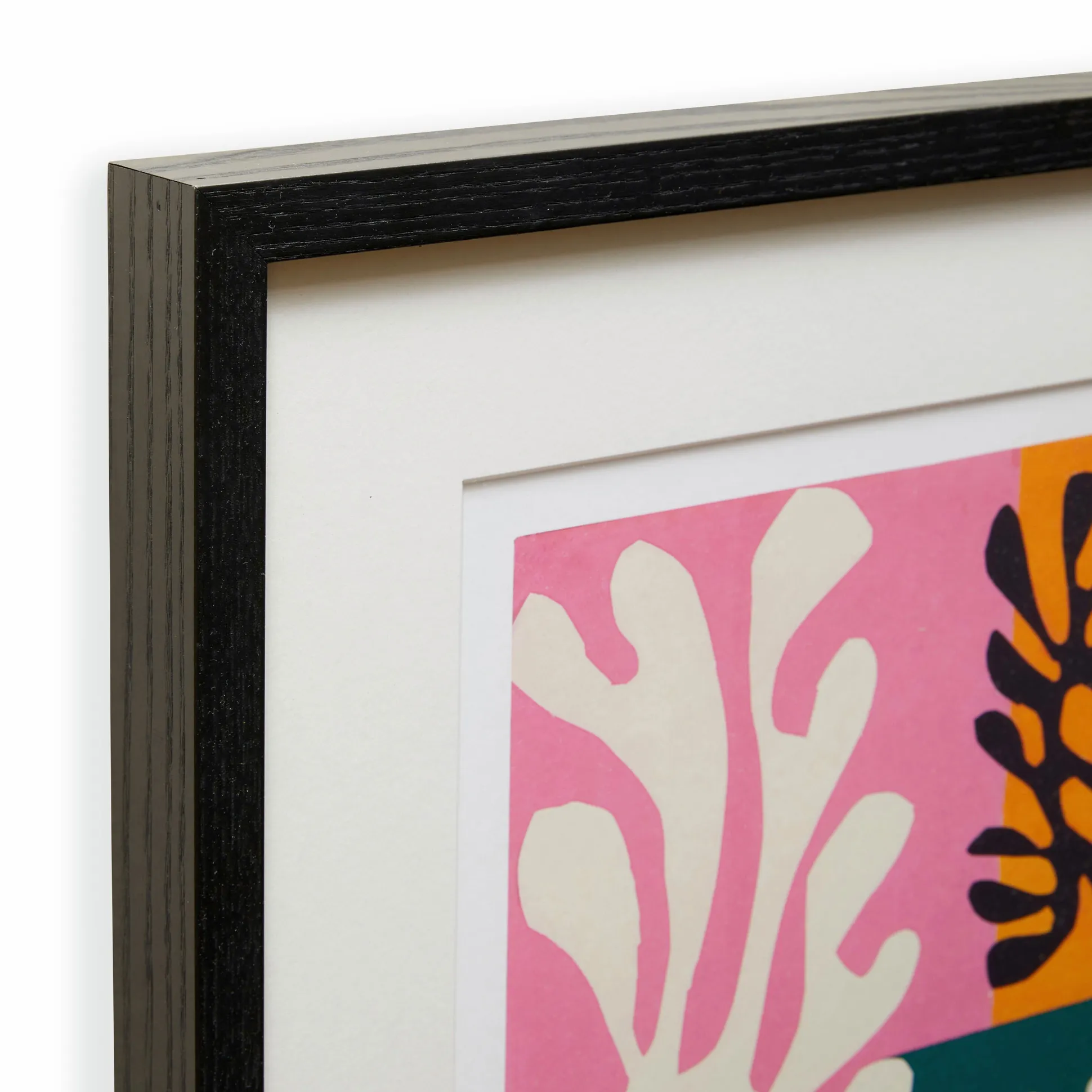 Henri Matisse Snow Flowers Framed Print