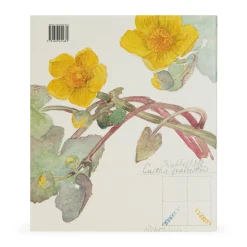 Hilma af Klint: What Stands Behind the Flowers – Hardcover
