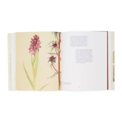 Hilma af Klint: What Stands Behind the Flowers – Hardcover