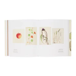 Hilma af Klint: What Stands Behind the Flowers – Hardcover