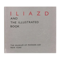 Illiazd and the Illustrated Book - Paperback