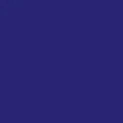 IZIPIZI Round Sunglasses #D