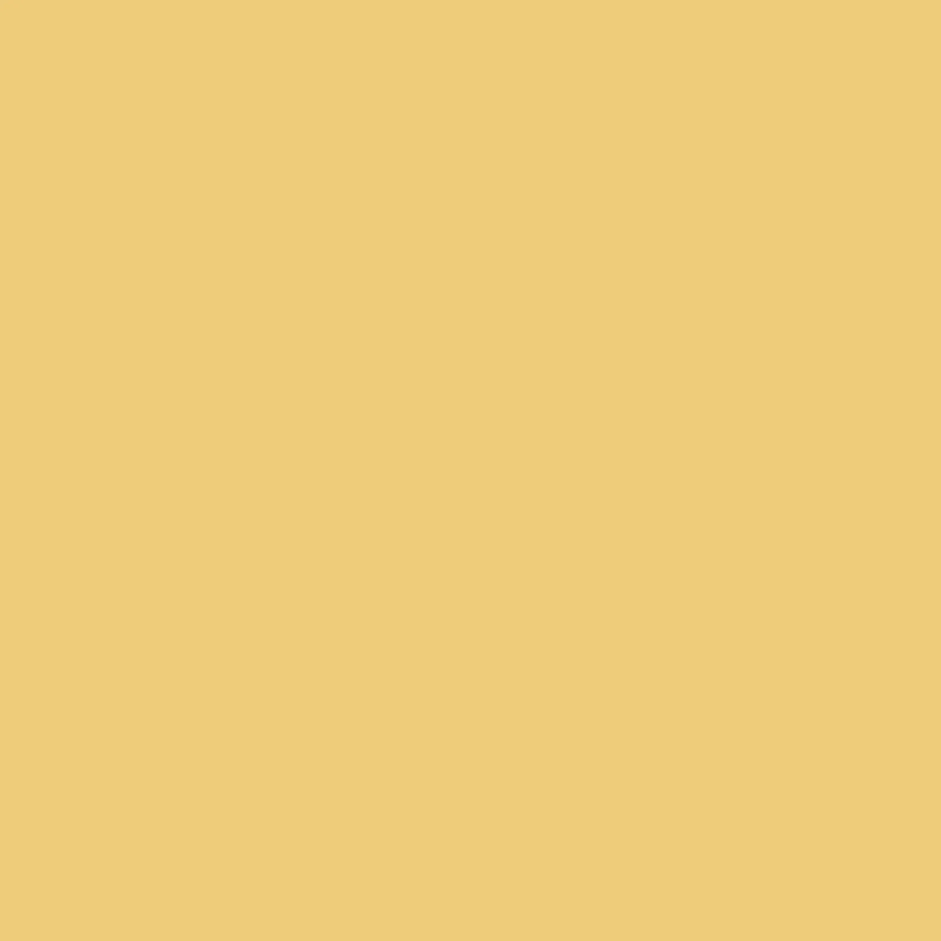 IZIPIZI Round Sunglasses #D