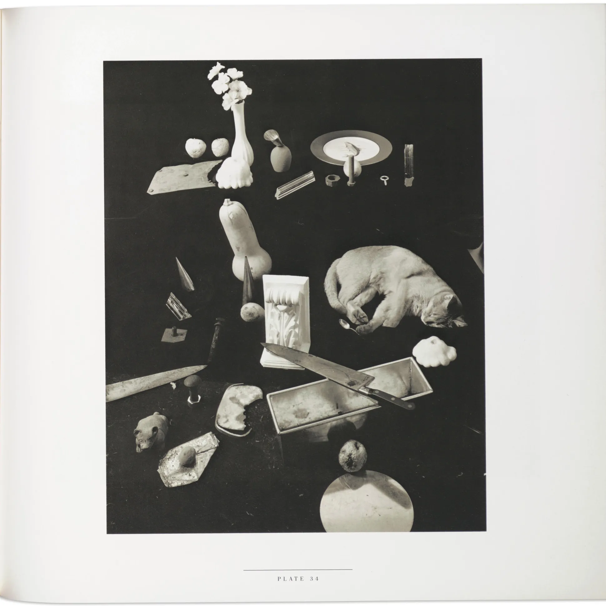 Jan Groover - Paperback