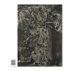 Jasper Johns: Regrets - Hardcover
