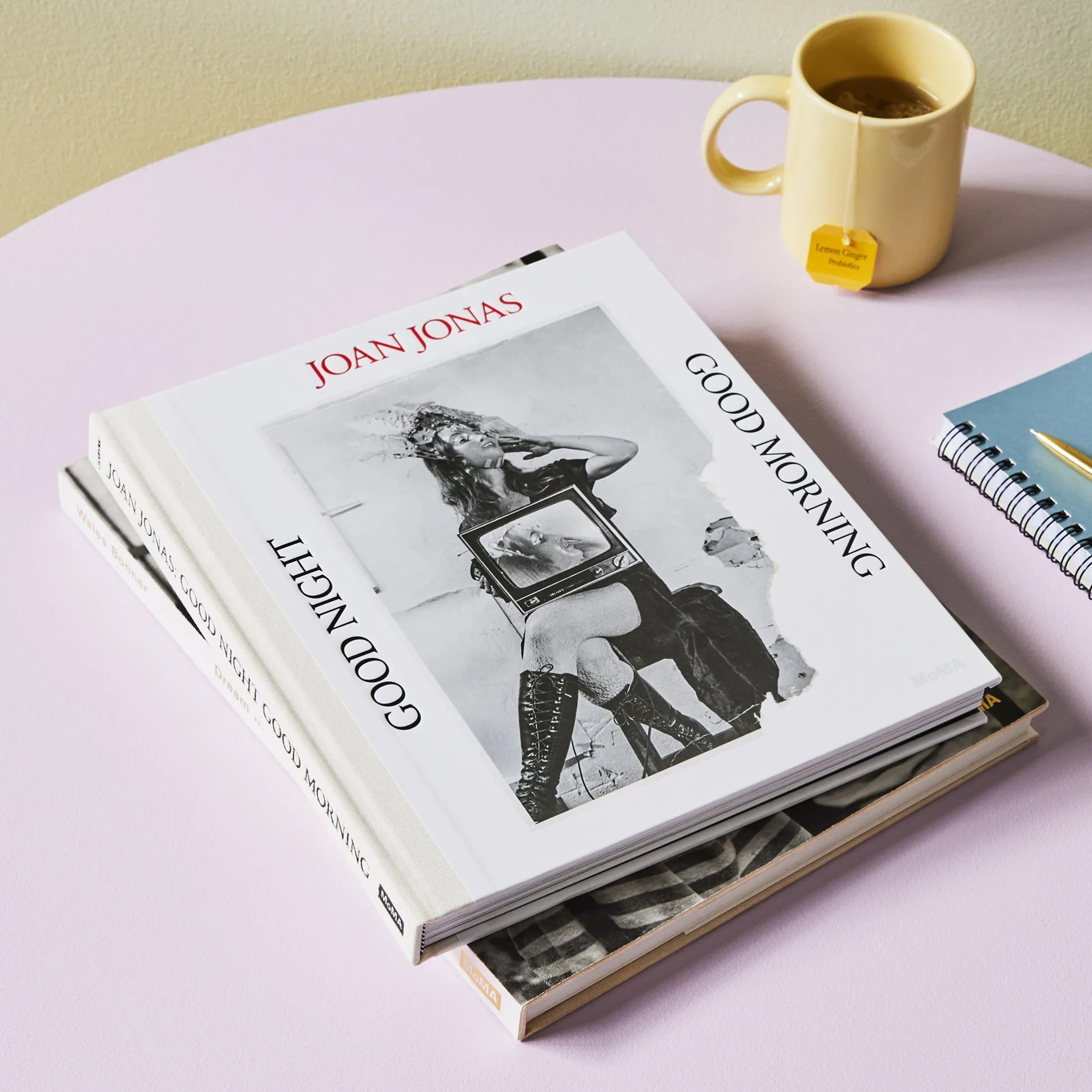 Joan Jonas: Good Night Good Morning – Hardcover