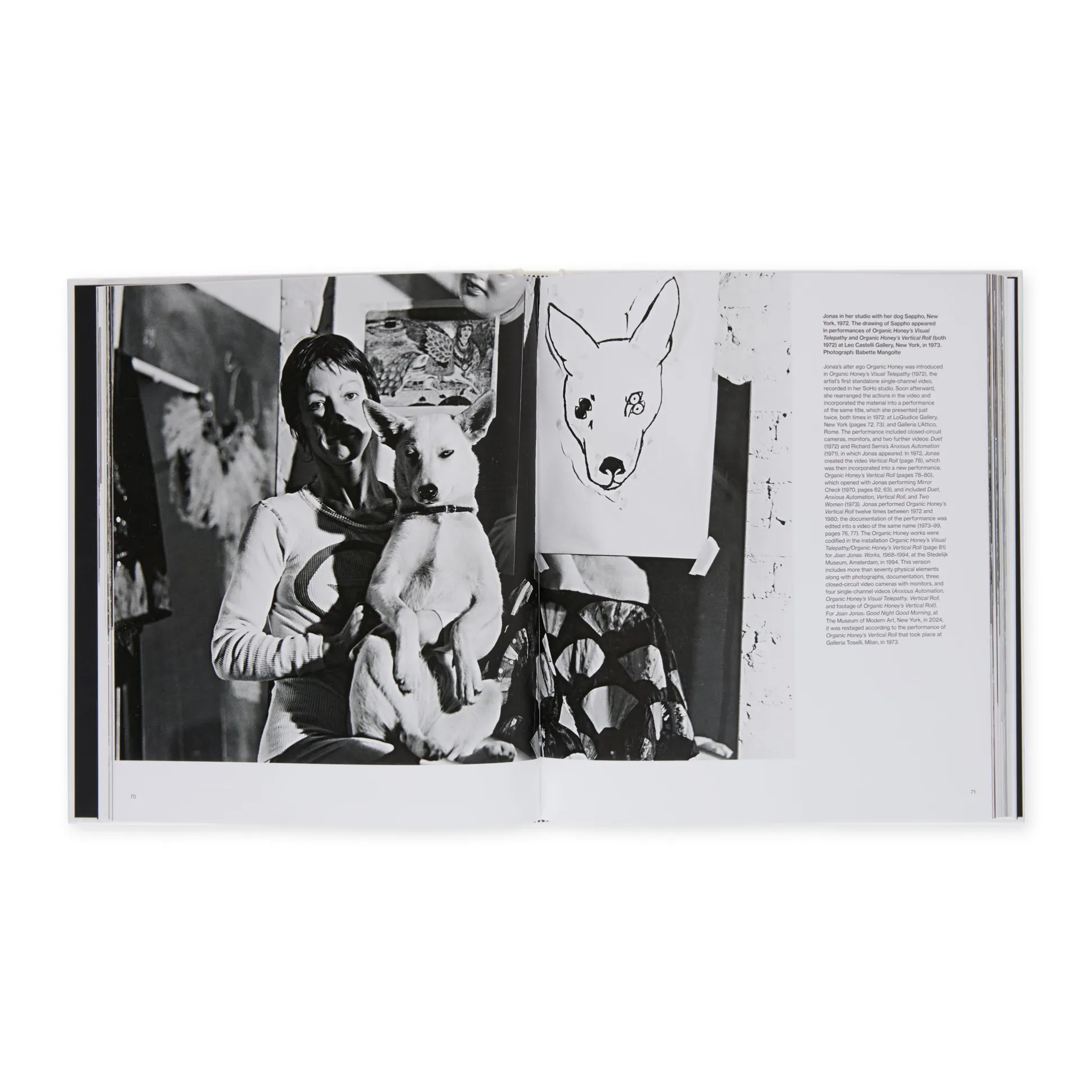Joan Jonas: Good Night Good Morning – Hardcover