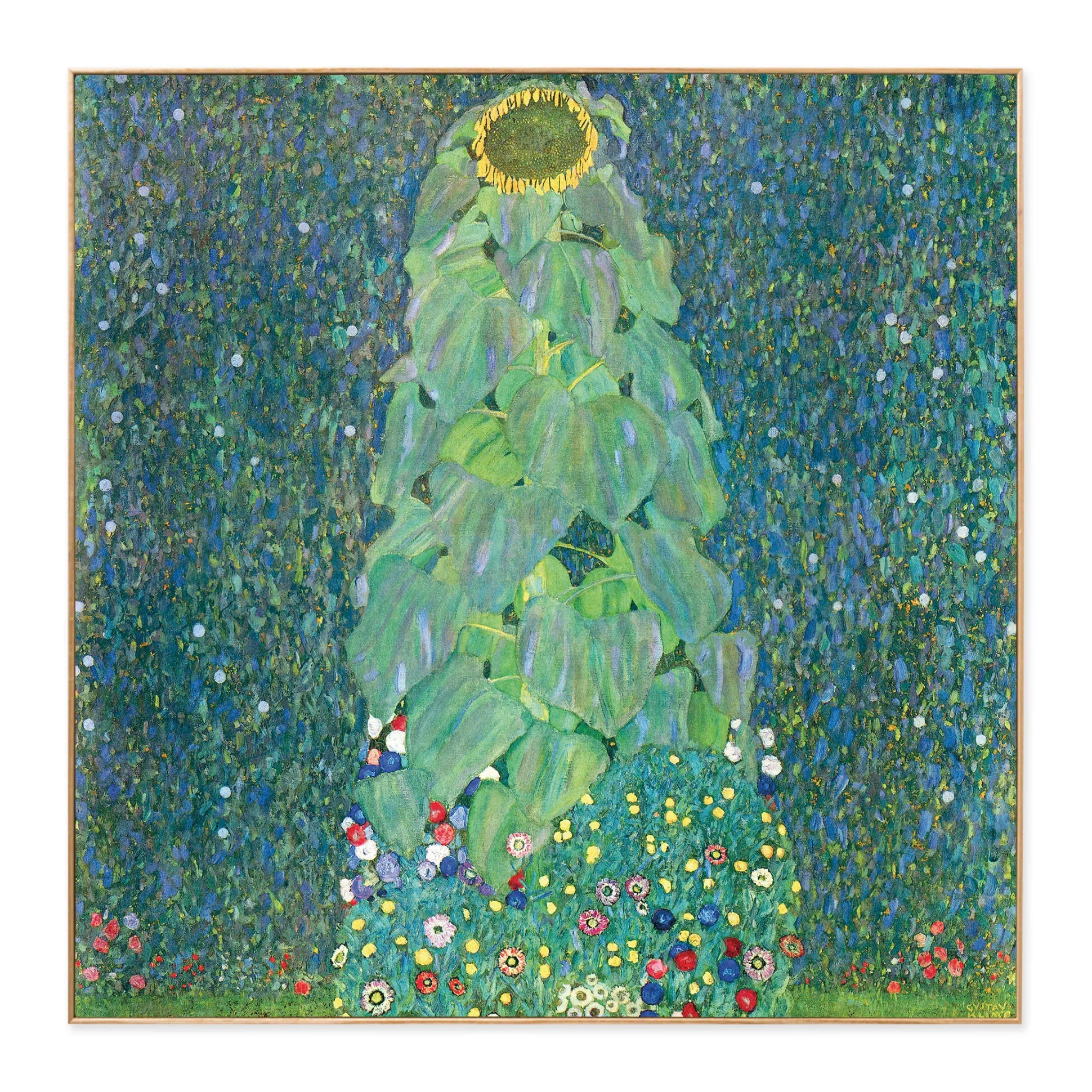 Klimt: The Sunflower Framed Print