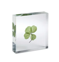 Lucky Clover Objet