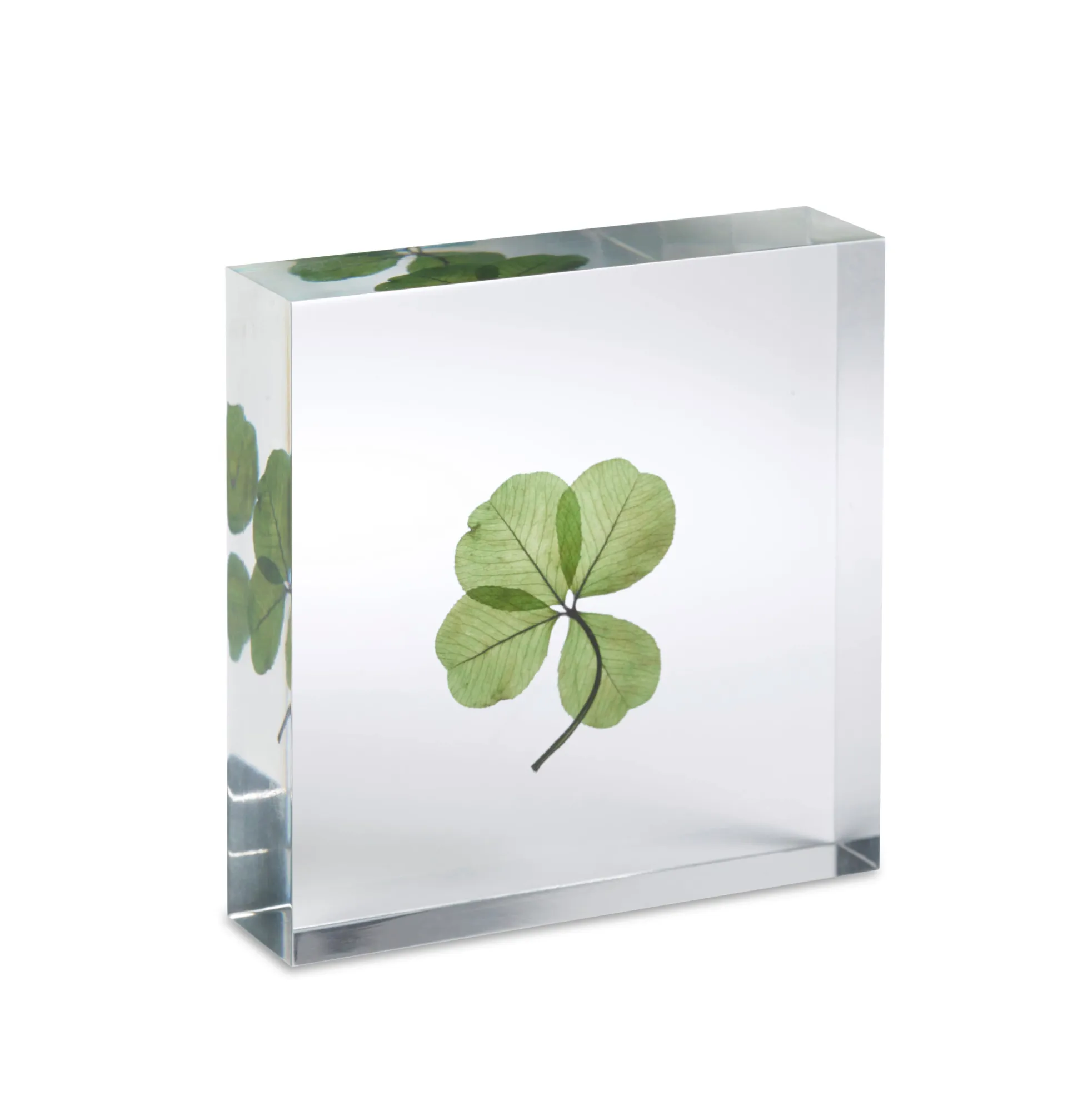 Lucky Clover Objet