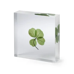 Lucky Clover Objet