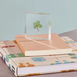 Lucky Clover Objet