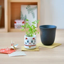 Lucky Mini Planter Kit - Cat / Clover