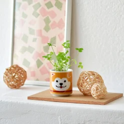 Lucky Mini Planter Kit - Dog / Clover