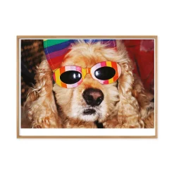 Martin Parr Venice Beach Framed Poster