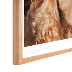 Martin Parr Venice Beach Framed Poster