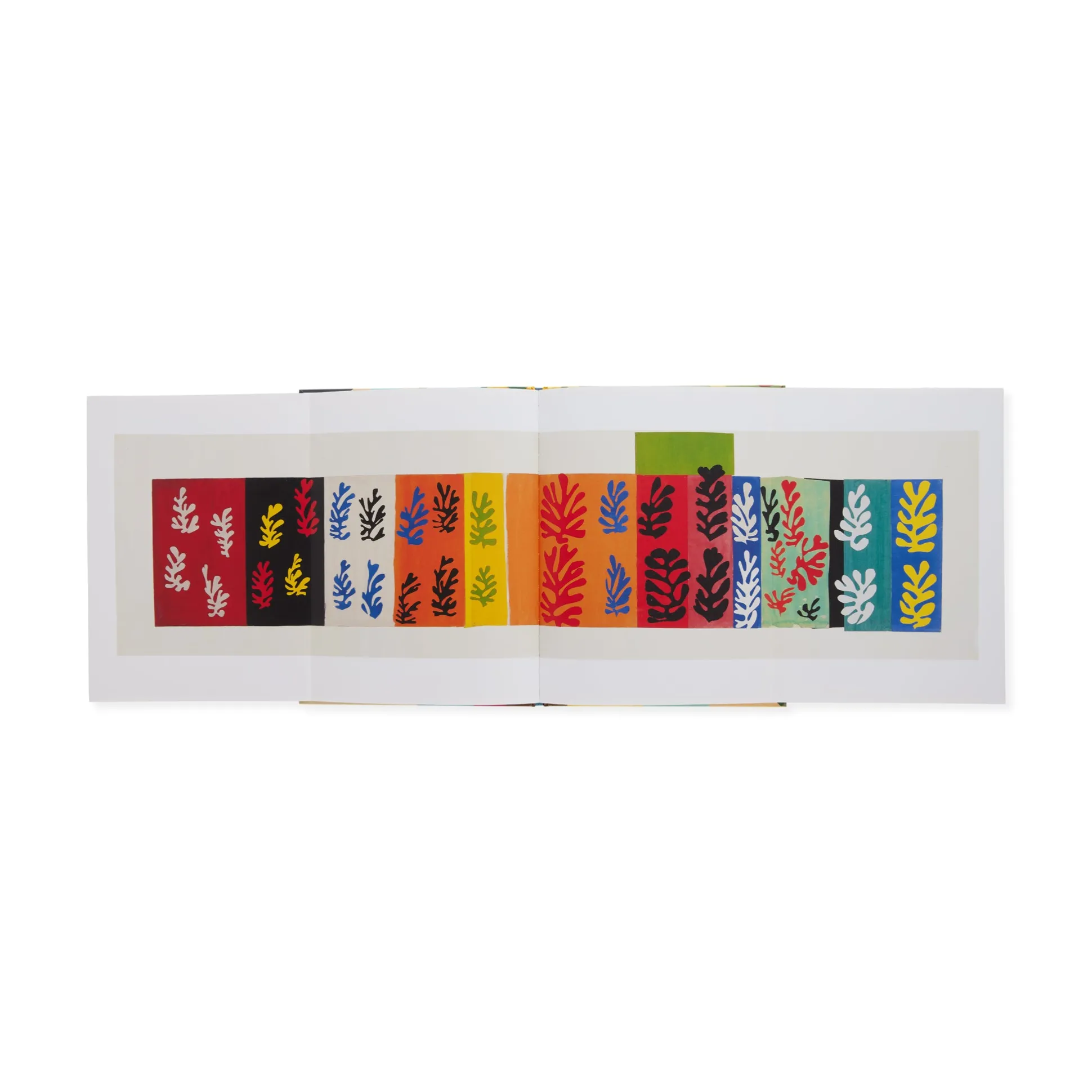 Matisse's Garden - Hardcover