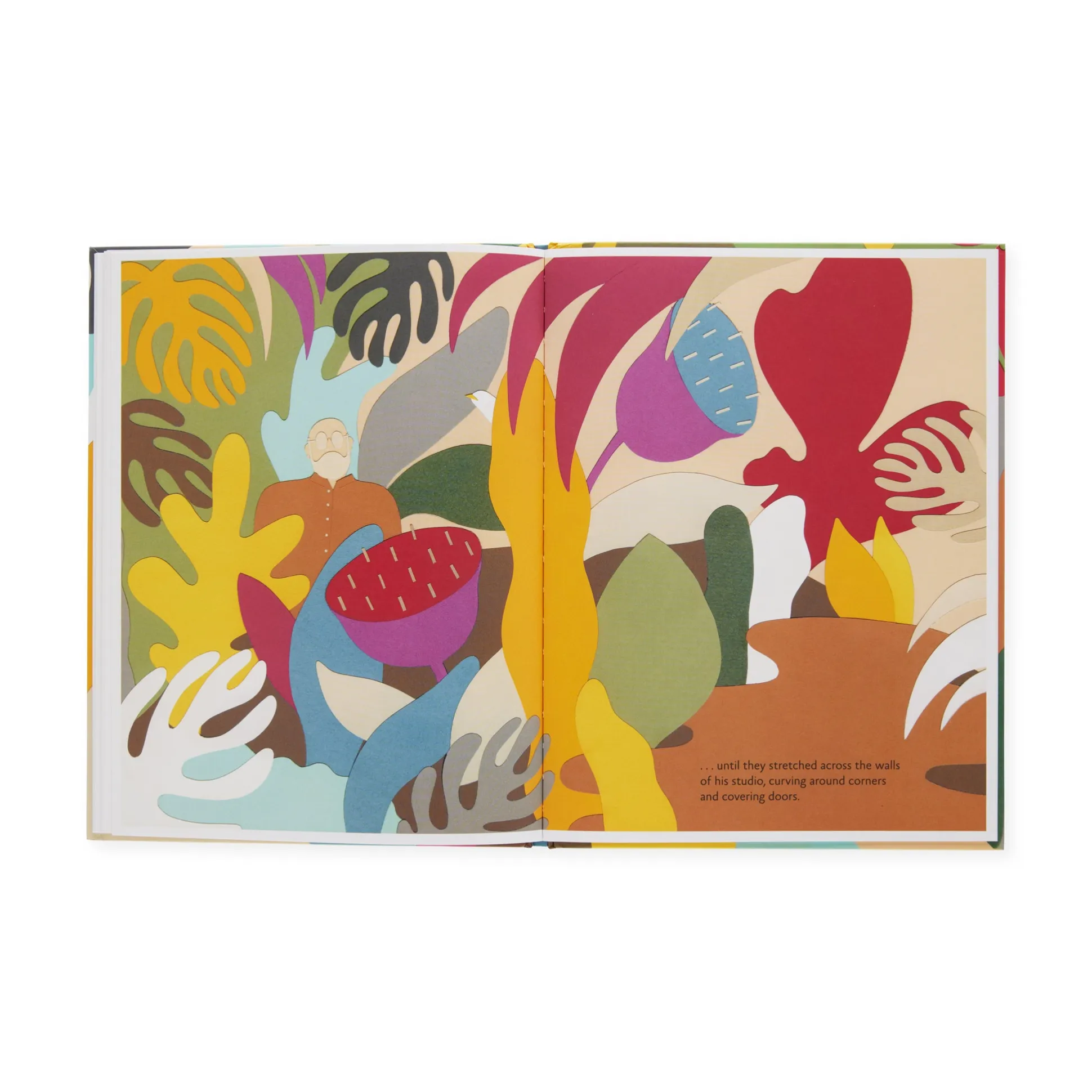 Matisse's Garden - Hardcover